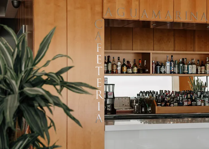 Suites Del Mar By Melia Alicante