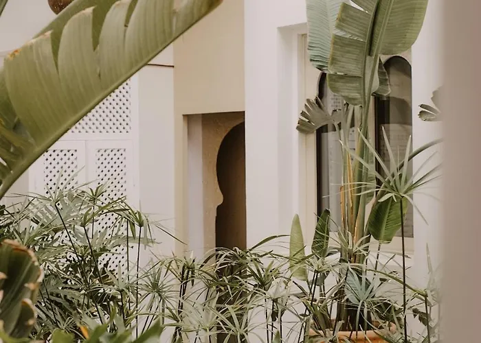Riad Dar Blanche & Spa Marrakesh
