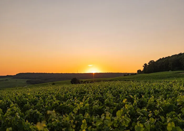 Loisium Wine & Spa Hotel Champagne Mutigny