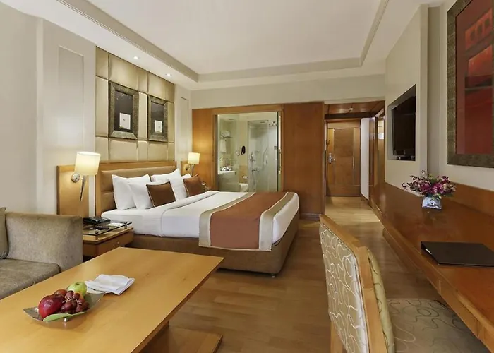 Hotel Royal Infinity Near Delhi Airport New Delhi